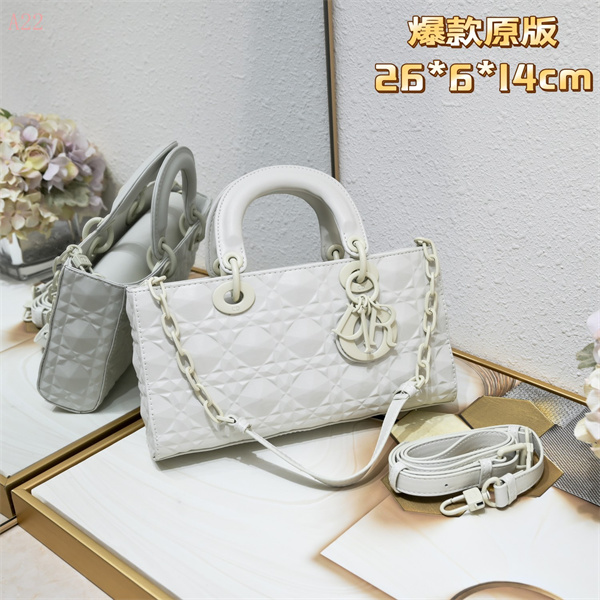 Dior Bags AAA 146
